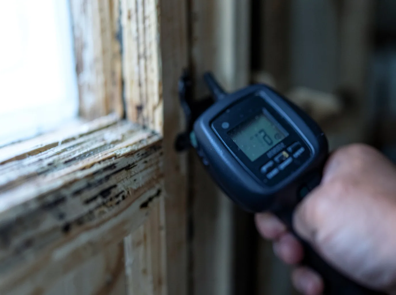 Moisture Inspection And Documentation in Sunshine, LA